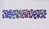 2014 F 05 - Transfer Leopardo / Leopard / Leopard