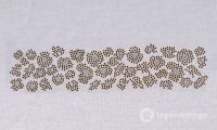 2014 F 06 - Transfer Leopardo / Leopard / Leopard