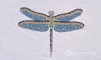 2014 F 07 - Transfer Libélula / Dragon-fly / Libellule